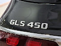 2025 Mercedes-Benz GLS GLS 450